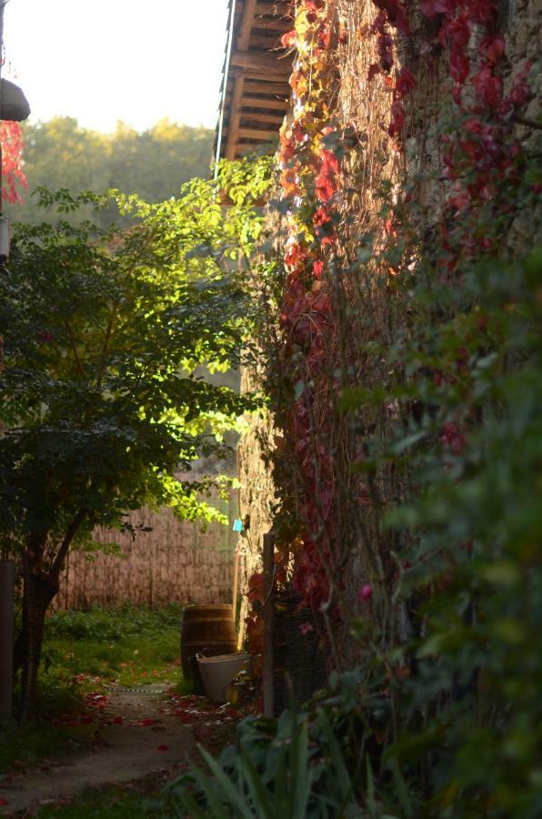 Torre Tanquian Eco Finca - Ribeira Sacra Pantón Exteriér fotografie